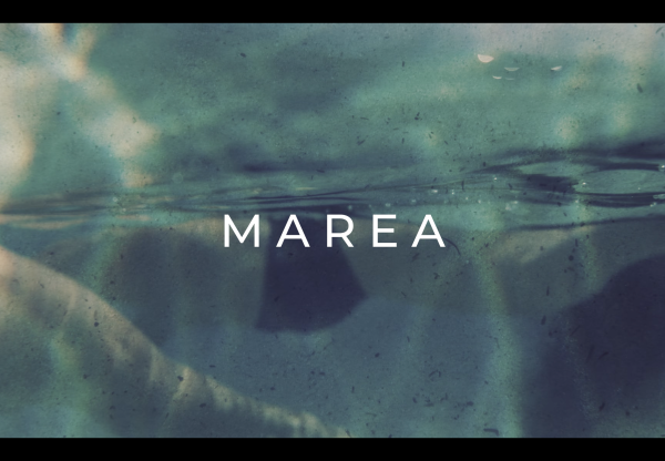 Marea's header image