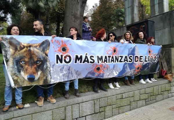 Imagen de cabecera de Solidaridad con Xurde en Defensa del Lobo