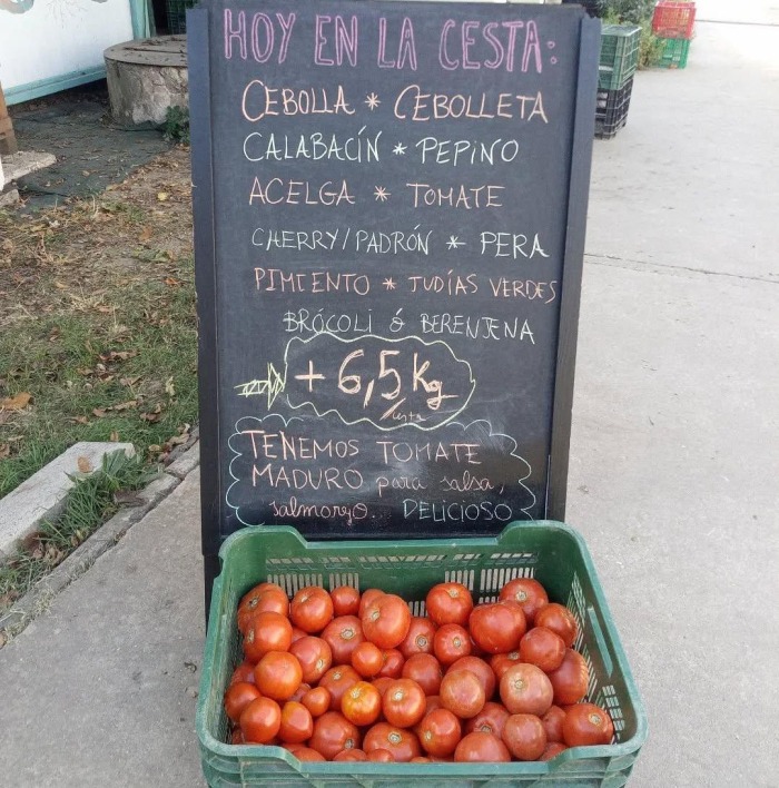 cesta7.jpg