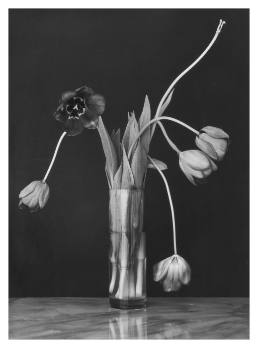 pb522-1-cmyk-1.jpg
